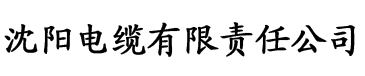 天美麻花果冻星空大全电缆厂logo